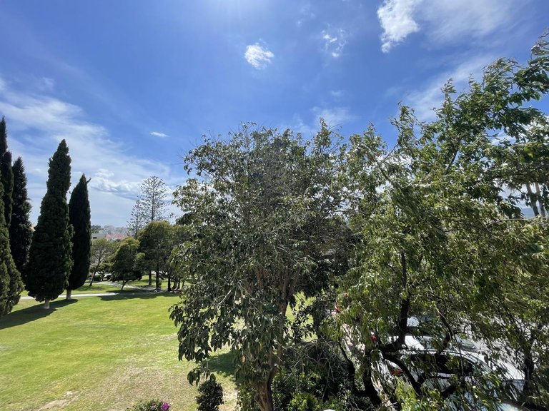 Apartment for Sale in Marbella, Malaga 8