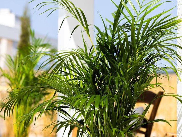 Villa for Sale in Estepona, Malaga 27