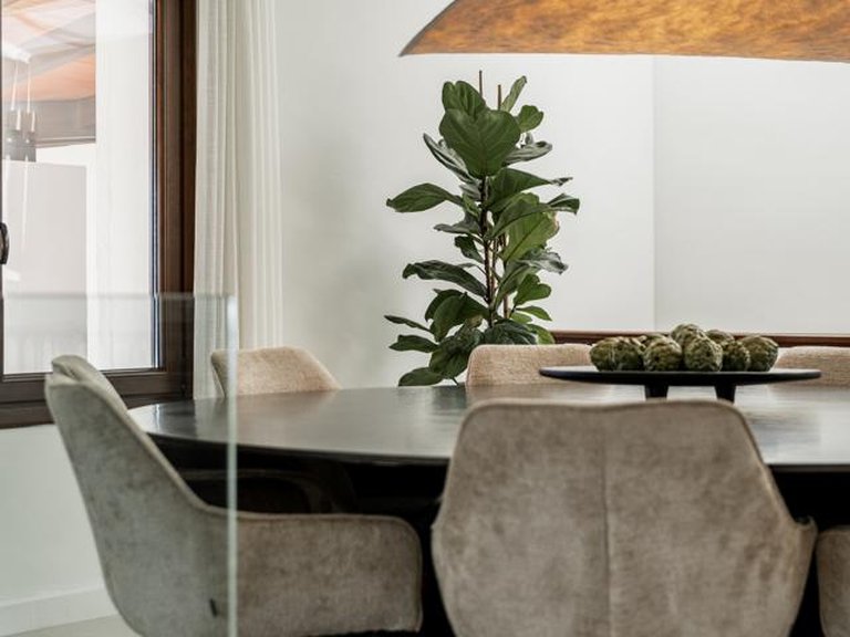 Villa for Sale in Resinera Voladilla, Malaga 15