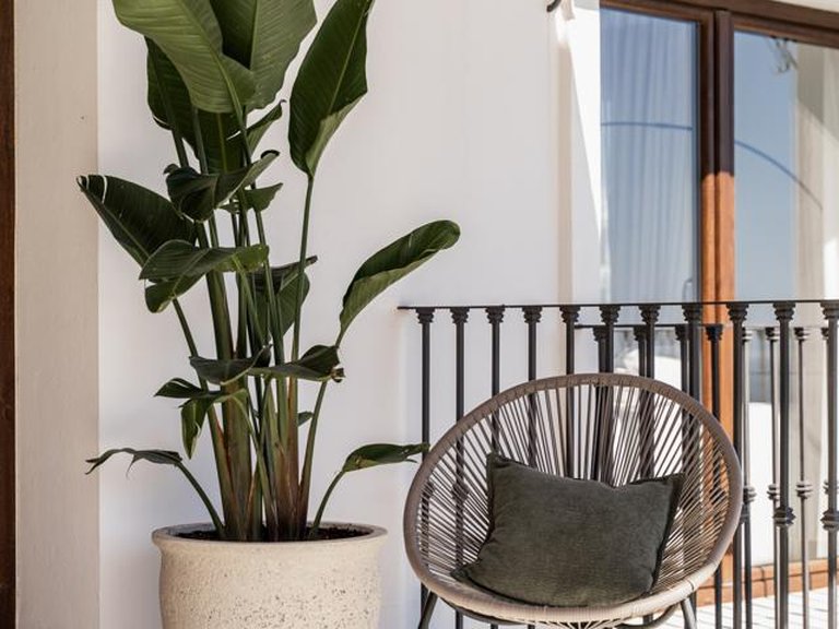 Villa for Sale in Resinera Voladilla, Malaga 12