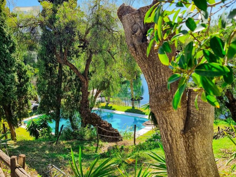 Apartment for Sale in Benahavís, Malaga 7