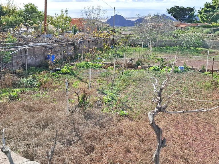 Villa for Sale in La Sabinita, Tenerife, España 18