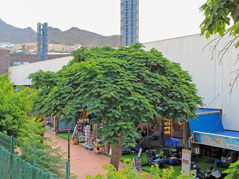 Apartment for Sale in Costa Adeje, Tenerife, España 4