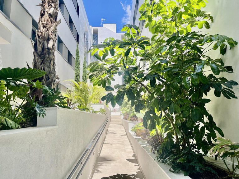 Apartment for Sale in Estepona, Malaga 27