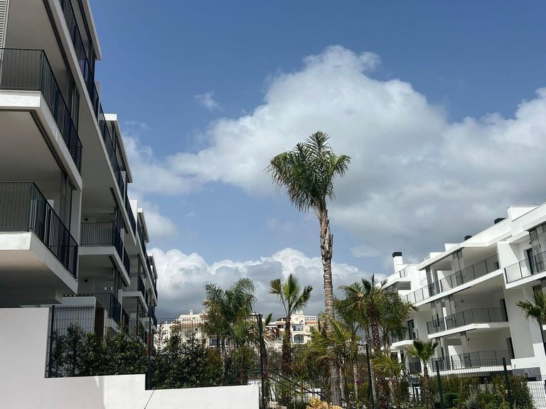 Apartment for Sale in Estepona, Malaga 6