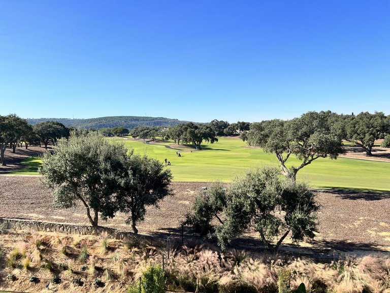 Villa for Sale in San Roque, Cadiz 8