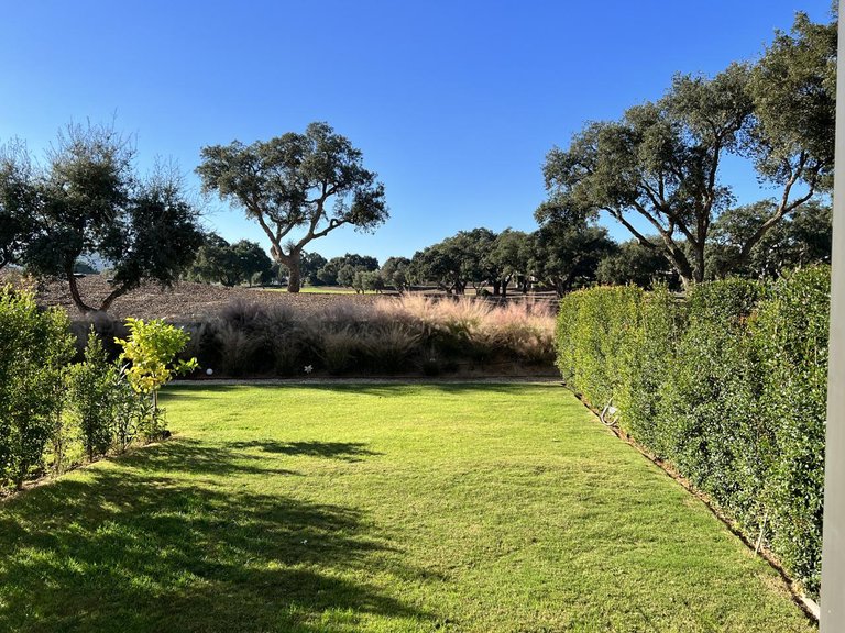 Villa for Sale in San Roque, Cadiz 5
