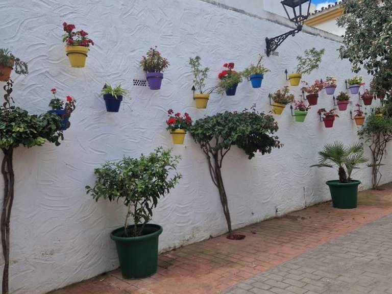 Penthouse for Sale in Estepona, Malaga 17