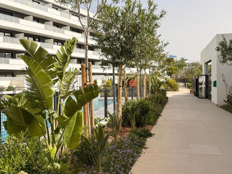 Apartment for Rent in Eivissa, Balearic Islands 25
