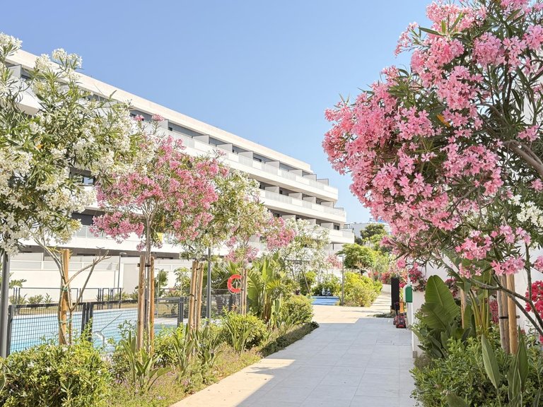 Apartment for Rent in Eivissa, Balearic Islands 18