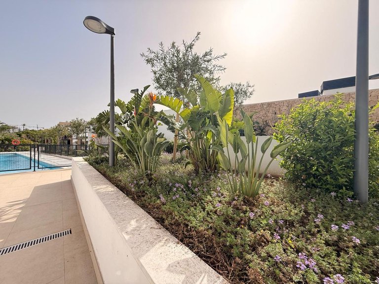 Apartment for Rent in Eivissa, Balearic Islands 37