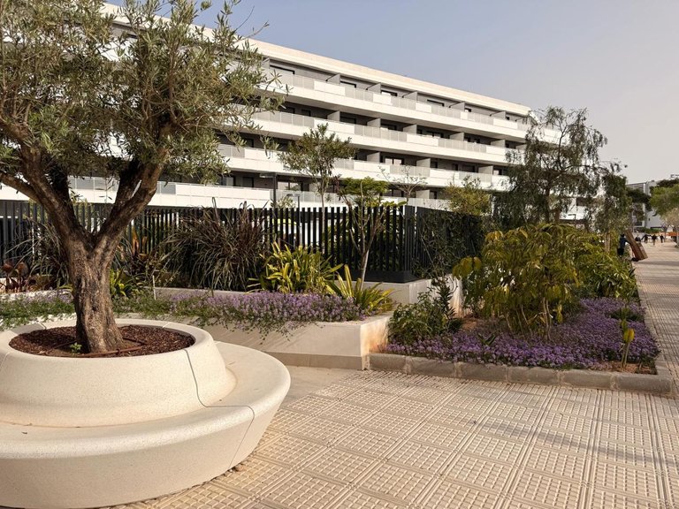 Apartment for Rent in Eivissa, Balearic Islands 31