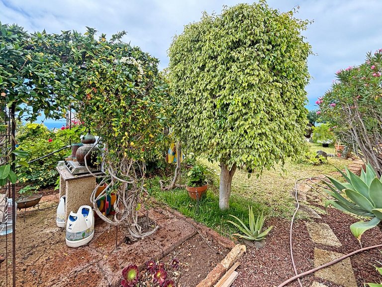 Villa for Sale in Callao Salvaje, Tenerife, España 34