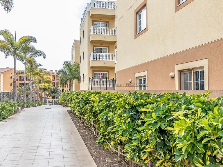 Apartment for Sale in Palm Mar, Tenerife, España 18