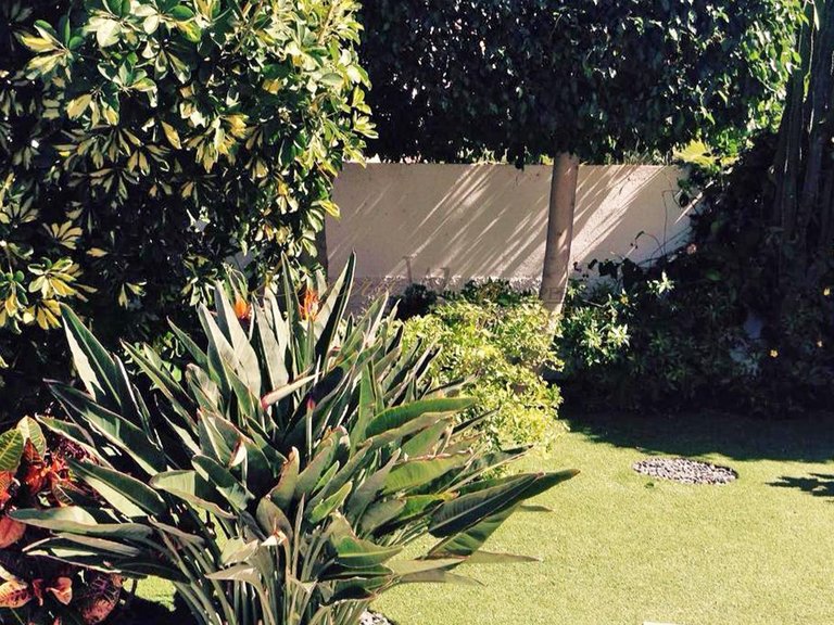 Town House for Sale in Costa Adeje, Tenerife, España 5