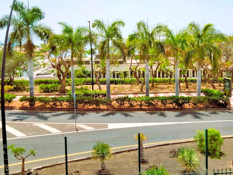 Apartment for Sale in Los Cristianos, Tenerife, España 12