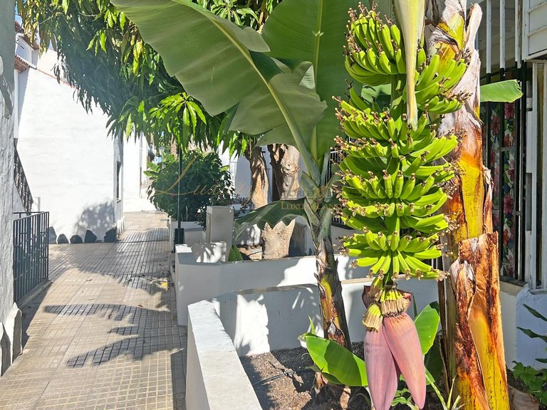 Apartment for Sale in Costa Del Silencio, Tenerife, España 16