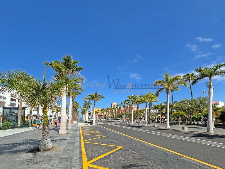Commercial for Rent in Playa De Las Americas, Tenerife, España 11
