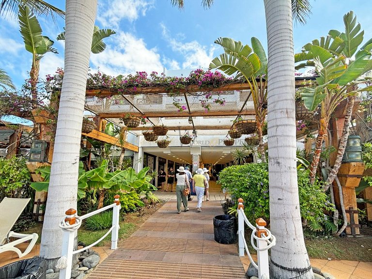 Commercial for Rent in Playa De Las Americas, Tenerife, España 10
