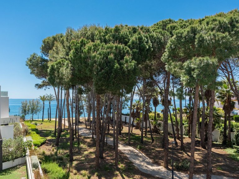 Villa for Sale in Saladavieja, Malaga 32