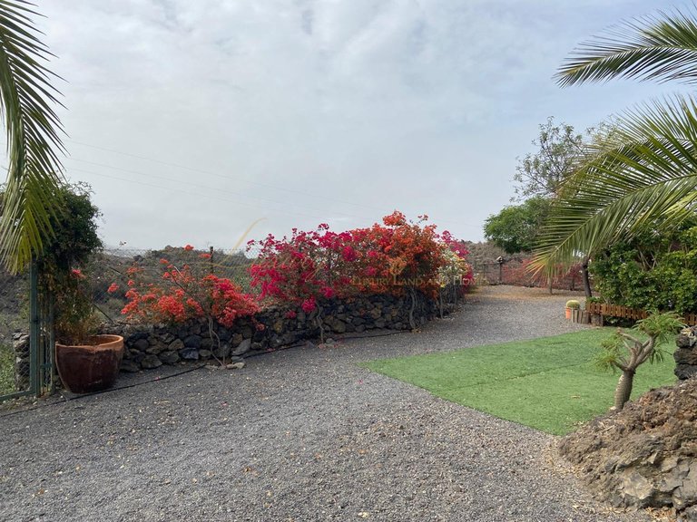 Villa for Sale in Aripe, Tenerife, España 6