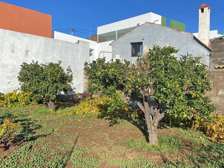 Villa for Sale in Las Manchas, Tenerife, España 14