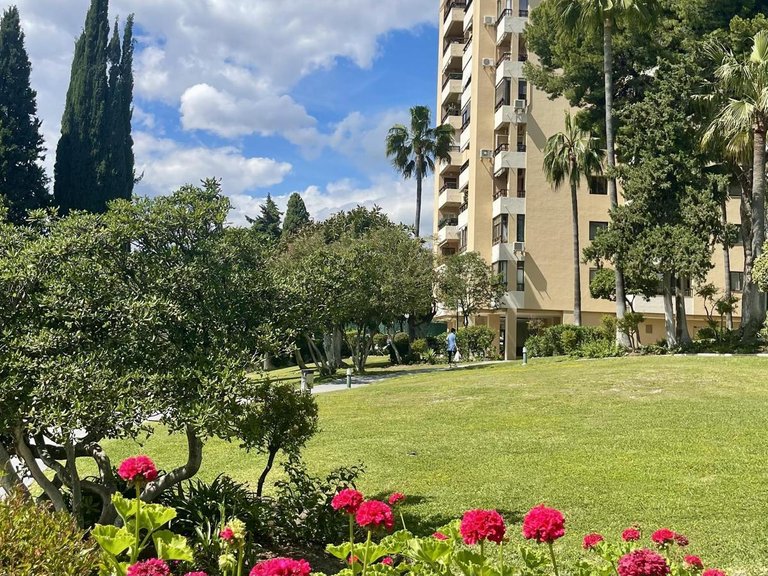 Apartment for Sale in Marbella, Malaga 13