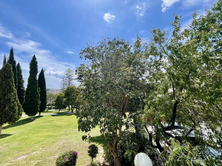 Apartment for Sale in Marbella, Malaga 15
