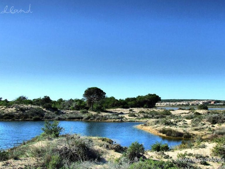 Town House for Sale in San Fulgencio-la Marina, Alicante 12