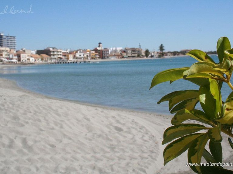 Apartment for Sale in Torre Pacheco, Murcia 14