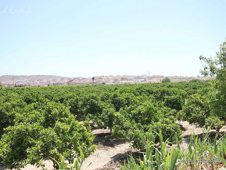 Apartment for Sale in Benijófar, Alicante 8