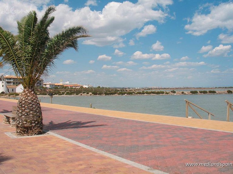 Apartment for Sale in San Pedro - Lo Pagan, Murcia 14
