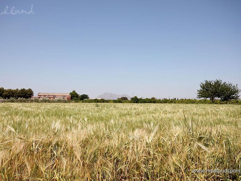 Apartment for Sale in Benijófar, Alicante 14