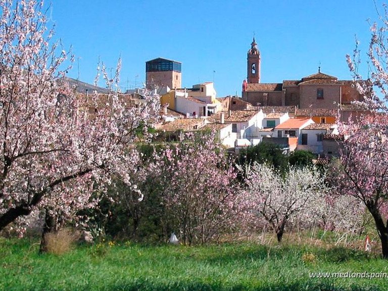 Villa for Sale in Marina Alta, Alicante 8