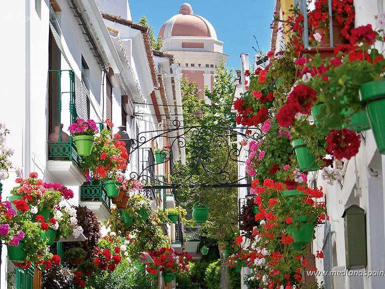 Apartment for Sale in Estepona, Malaga 14