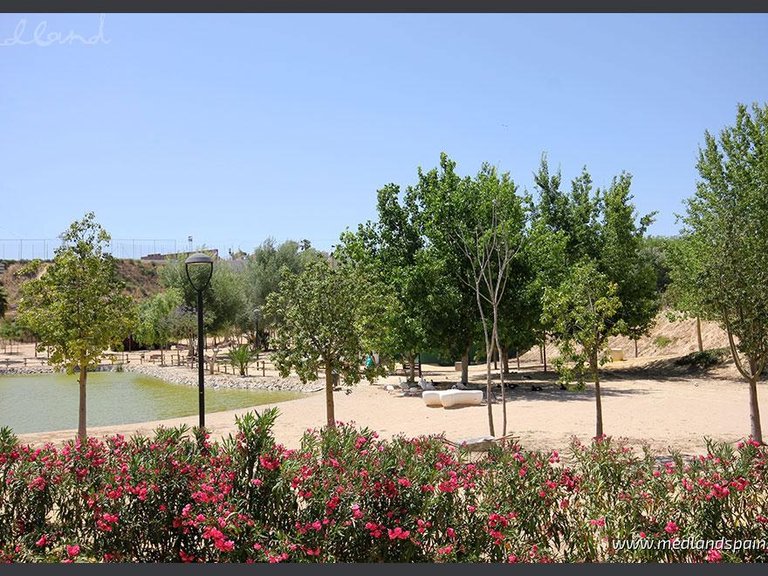 Apartment for Sale in Benijófar, Alicante 12