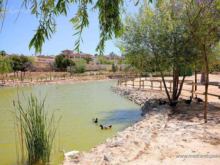 Apartment for Sale in Benijófar, Alicante 6