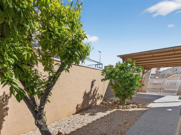 Villa for Sale in Benijofar, Alicante 24