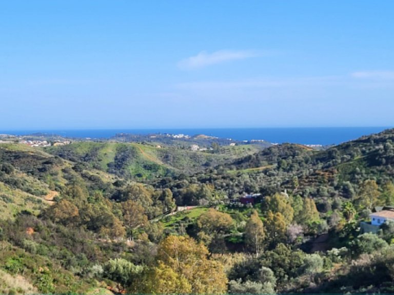 Villa for Sale in Mijas Costa, Malaga 5