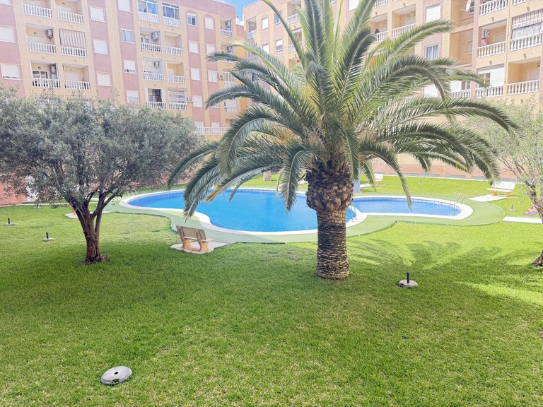 Apartment for Sale in Torrevieja, Alicante, 17