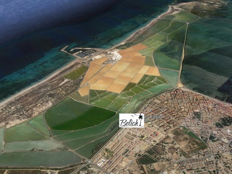 Apartment for Sale in San Pedro Del Pinatar, Murcia 11