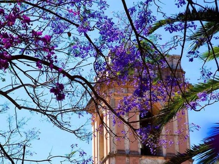 Town House for Sale in Denia, Alicante 17