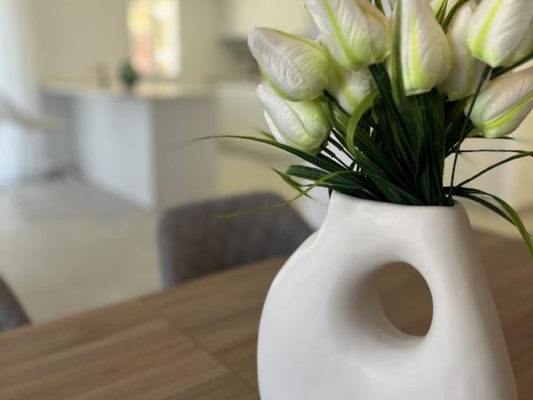Apartment for Sale in Torrevieja, Alicante 25
