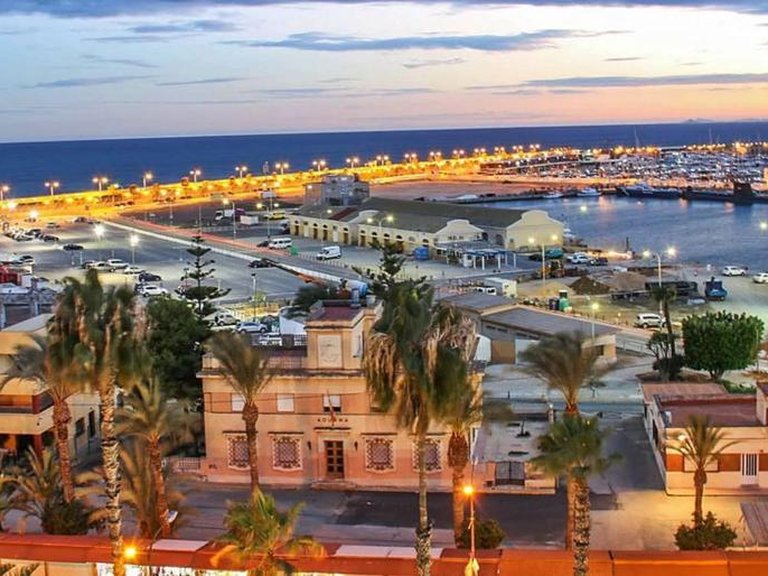 Villa for Sale in Torrevieja, Alicante 20