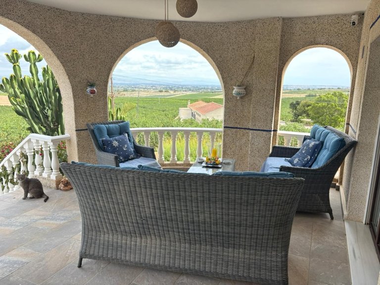 Villa for Sale in Algorfa, Alicante 11