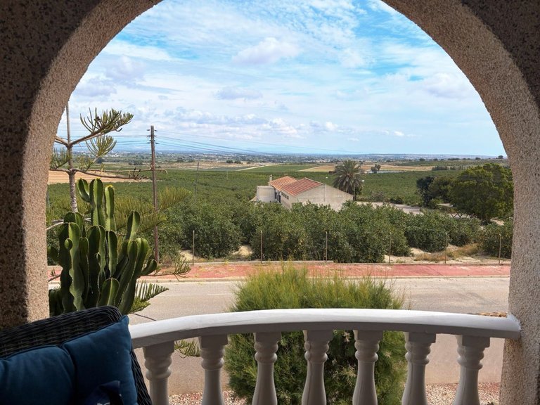 Villa for Sale in Algorfa, Alicante 22