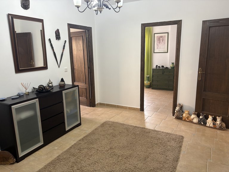 Villa for Sale in Algorfa, Alicante 41