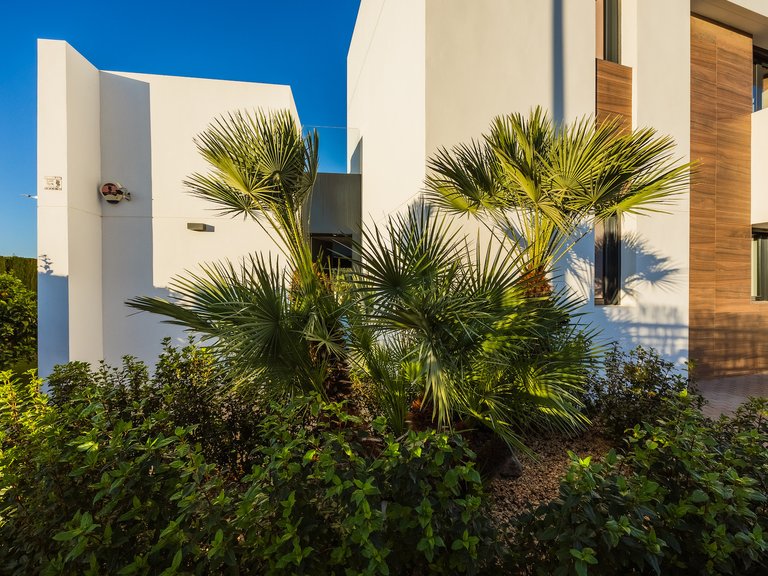 Villa for Sale in Algorfa, Alicante 10