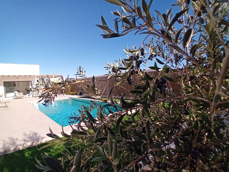 Villa for Sale in Algorfa, Alicante 3