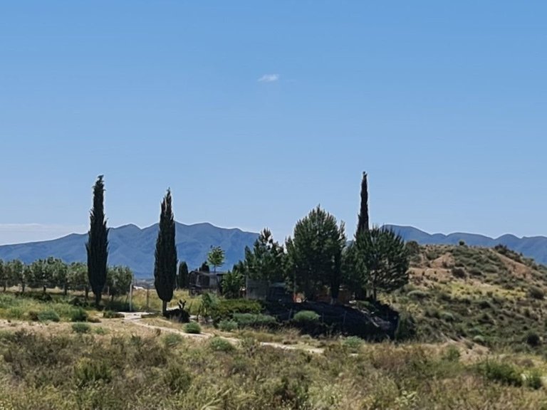 Villa for Sale in Inland Murcia, Murcia 4